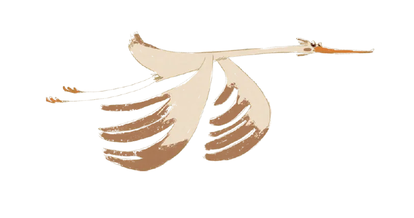 A stork flying just above the contact heading